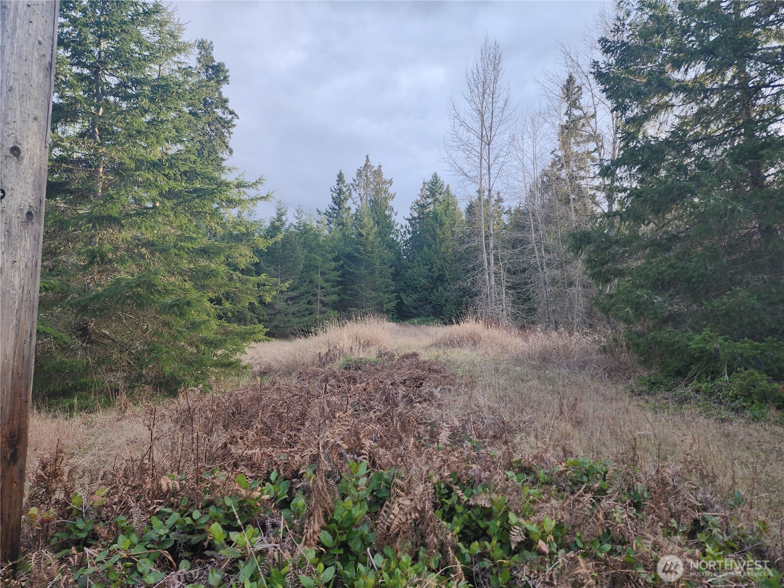 0 Lilly Rd Port Port Angeles, WA 98362 - Photo 6 of 11 Gallery Image 6