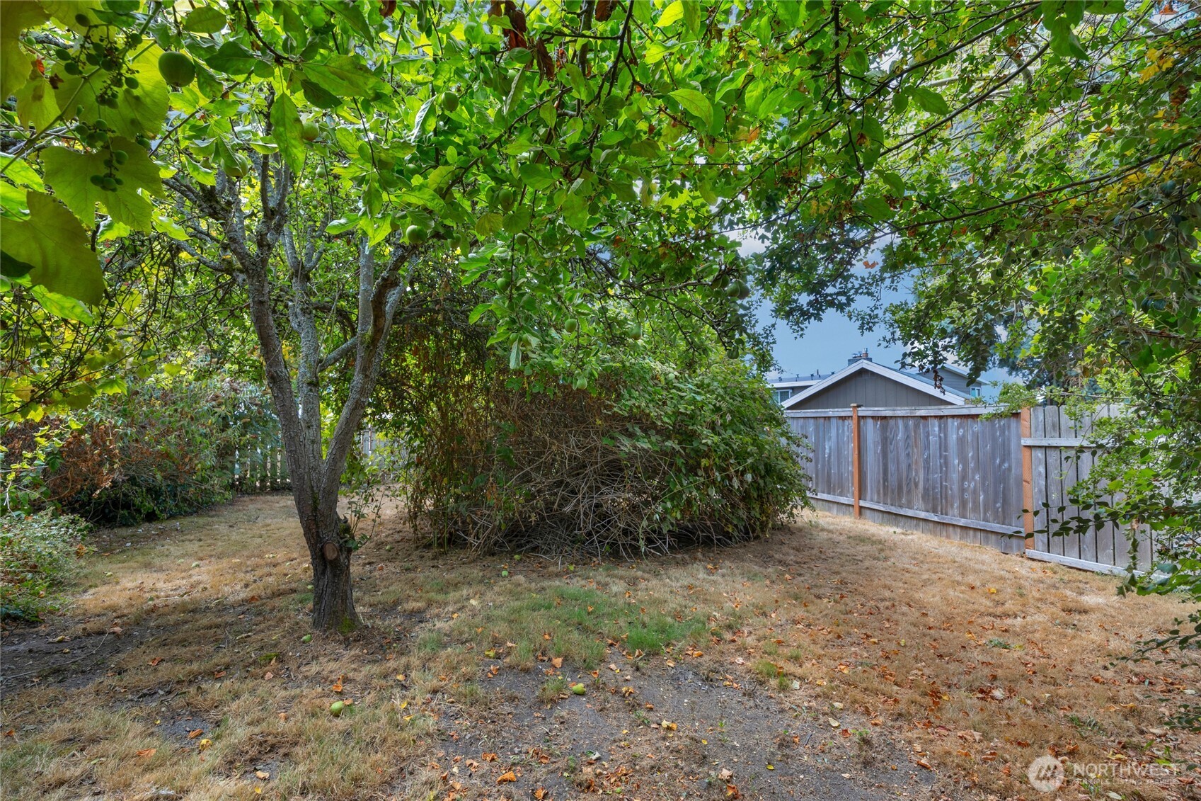 611 3rd Avenue North Edmonds, WA 98020 - Photo 23 of 28 a view of backyard with large trees and wooden fence