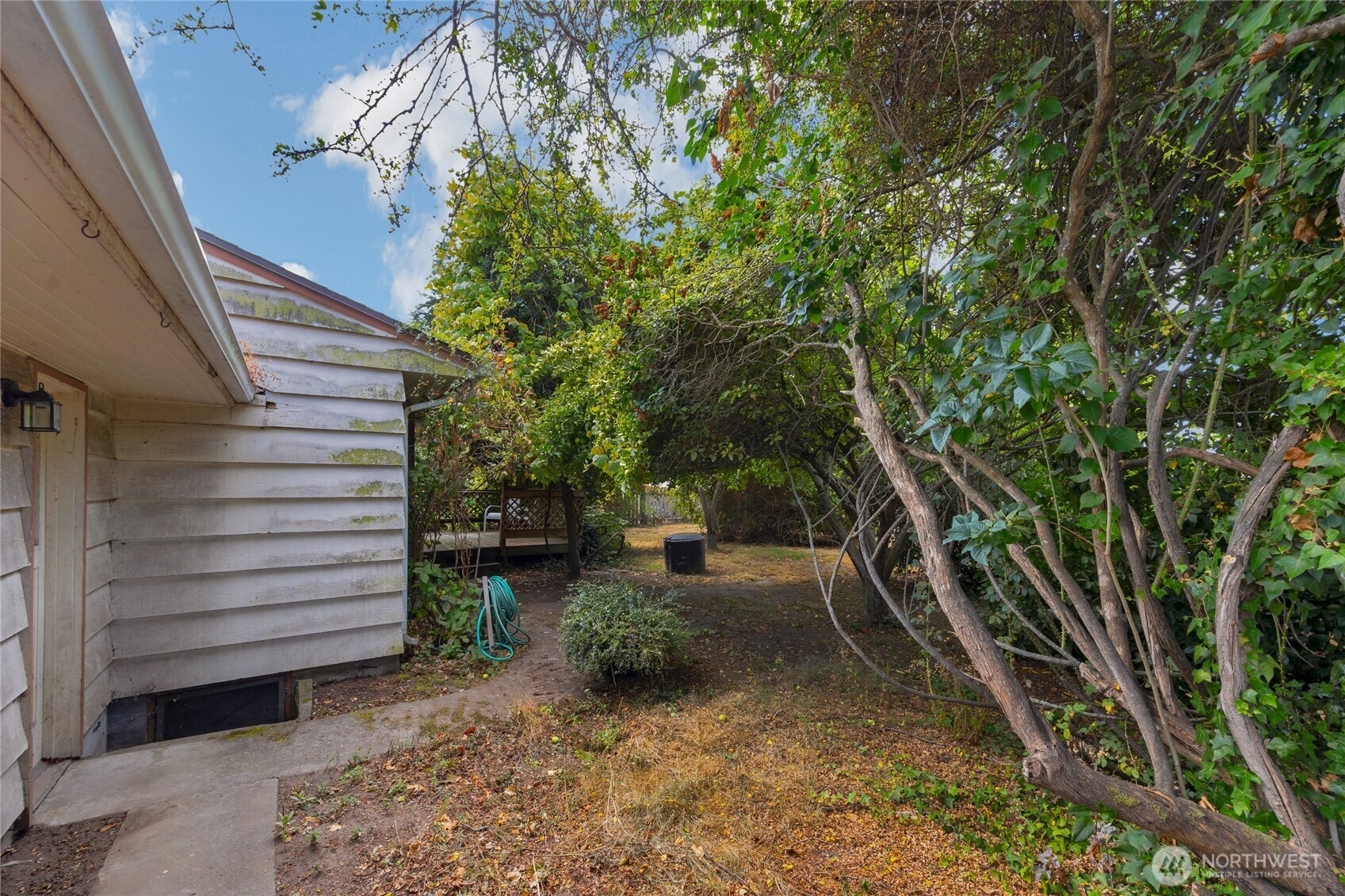 611 3rd Avenue North Edmonds, WA 98020 - Photo 24 of 28 a view of a yard with plants and a barbeque