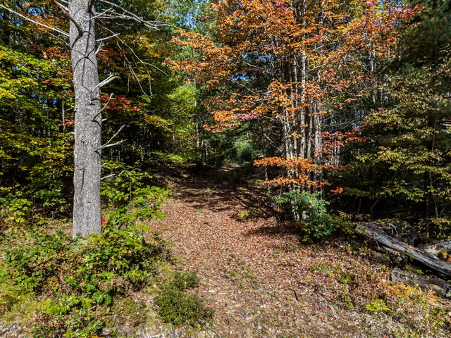 $685,000 | 86 Moose Bog Lane, Wells, ME 04090