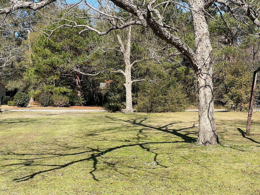 175 Campground Road Morven, GA 31638 - Photo 22 of 22 Gallery Image 22