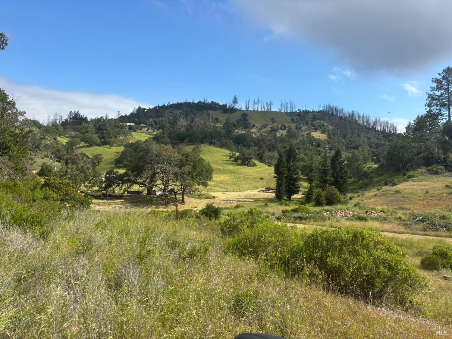 6971 St Helena Road Santa Rosa, CA 95404 - Photo 15 of 34