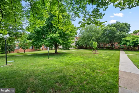 a view of a tree in a park