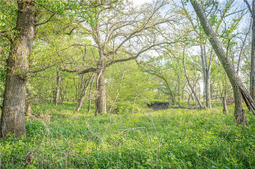T Road Eureka, KS 67045 - Photo 4 of 68