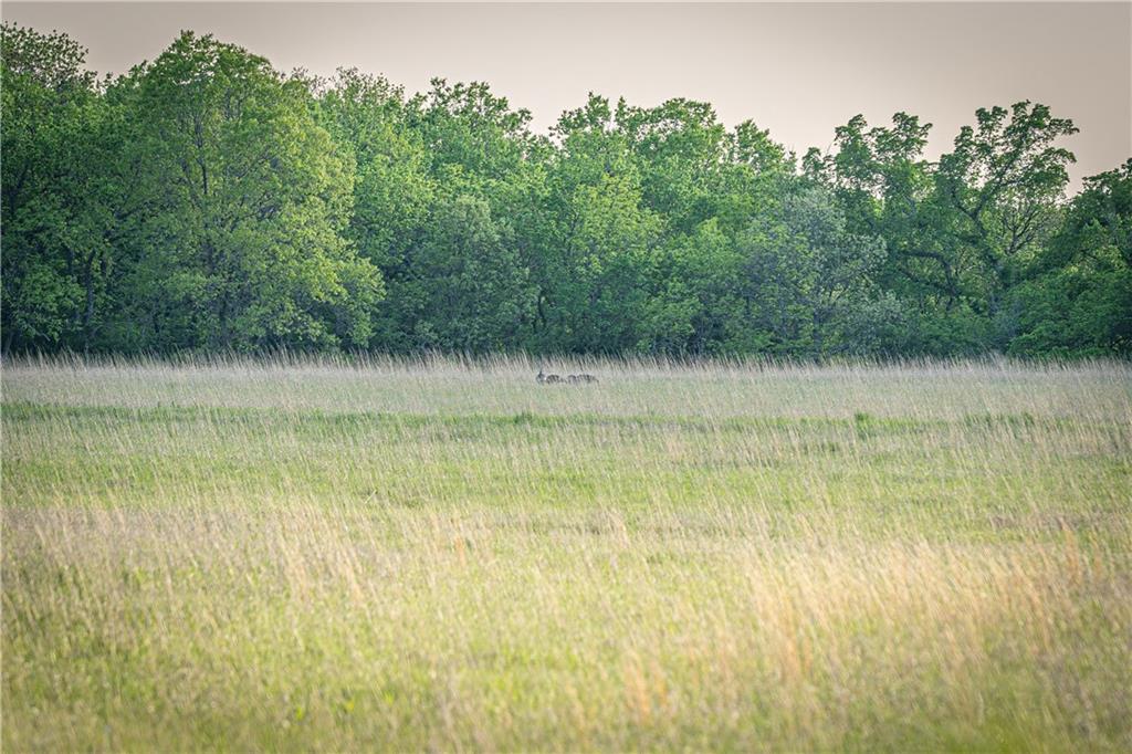 T Road Eureka, KS 67045 - Photo 66 of 68
