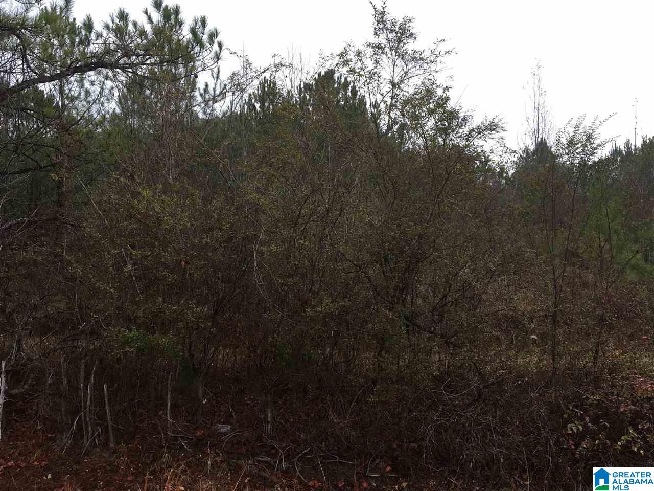Old Choccolocco Road, Unit 97 Weaver, AL 36277 - Photo 8 of 27