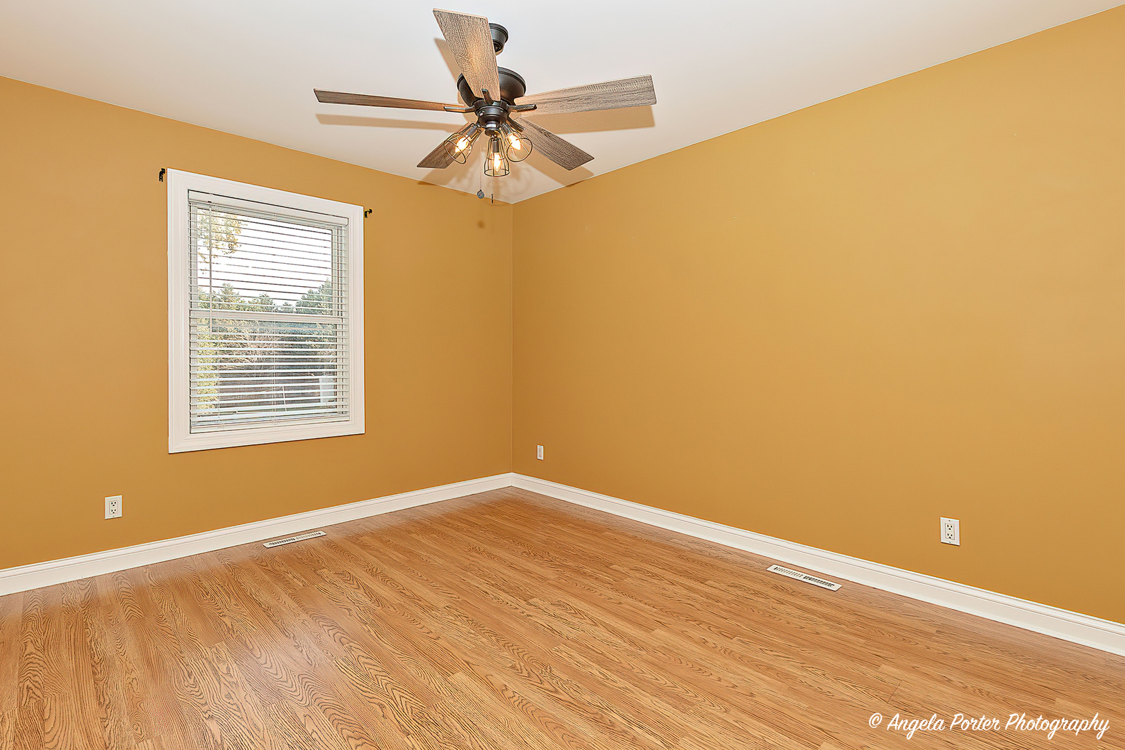 203 Springbrook Court McHenry, IL 60050 - Photo 17 of 39 Gallery Image 17