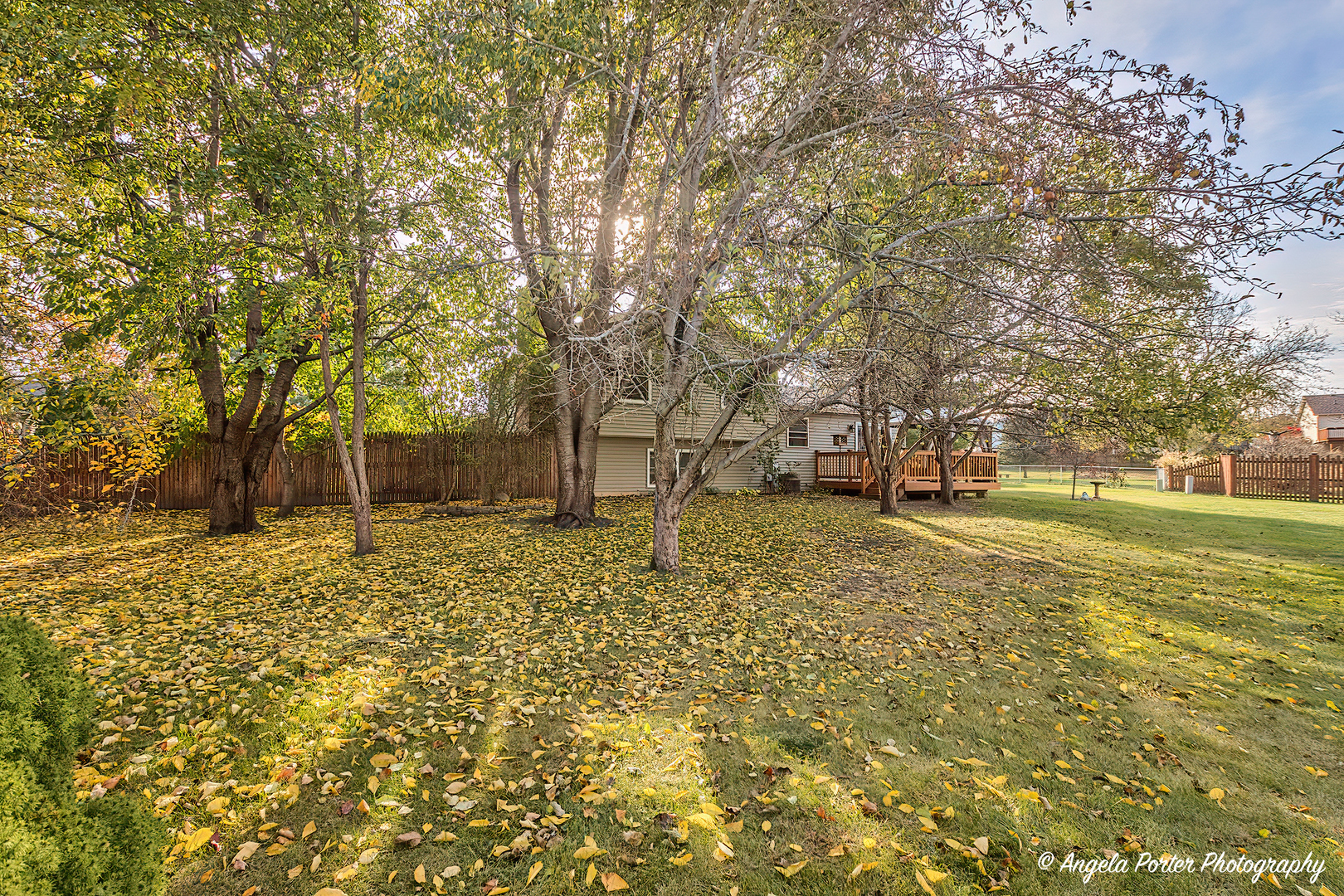 203 Springbrook Court McHenry, IL 60050 - Photo 36 of 39 Gallery Image 36