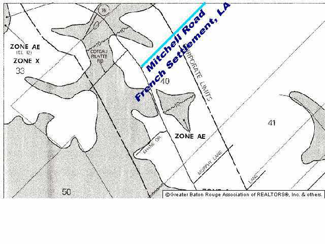 17215 Mitchell Road French Settlement, LA 70733 - Photo 4 of 4 Gallery Image 4