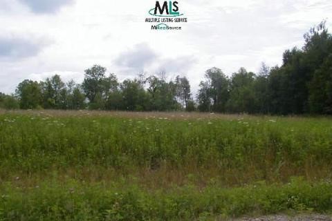 0 Nelson Lane Mayville, MI 48744 - Photo 1 of 2 884529.JPG