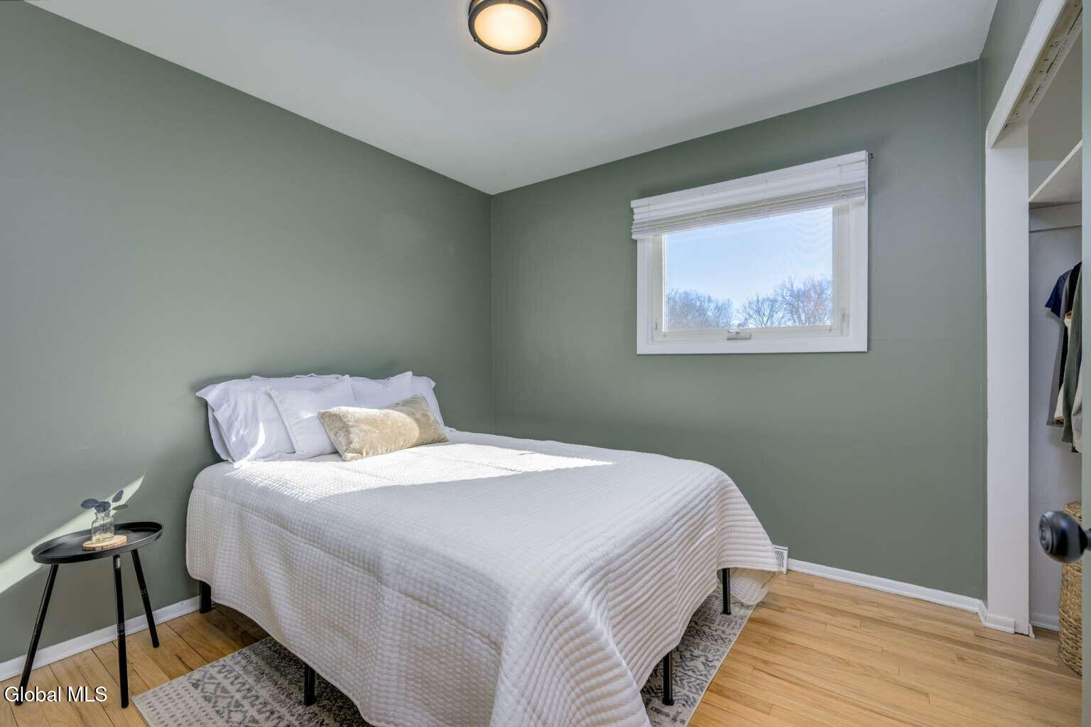 17 Benjamin Lane Colonie, NY 12205 - Photo 15 of 25 Cassara.15