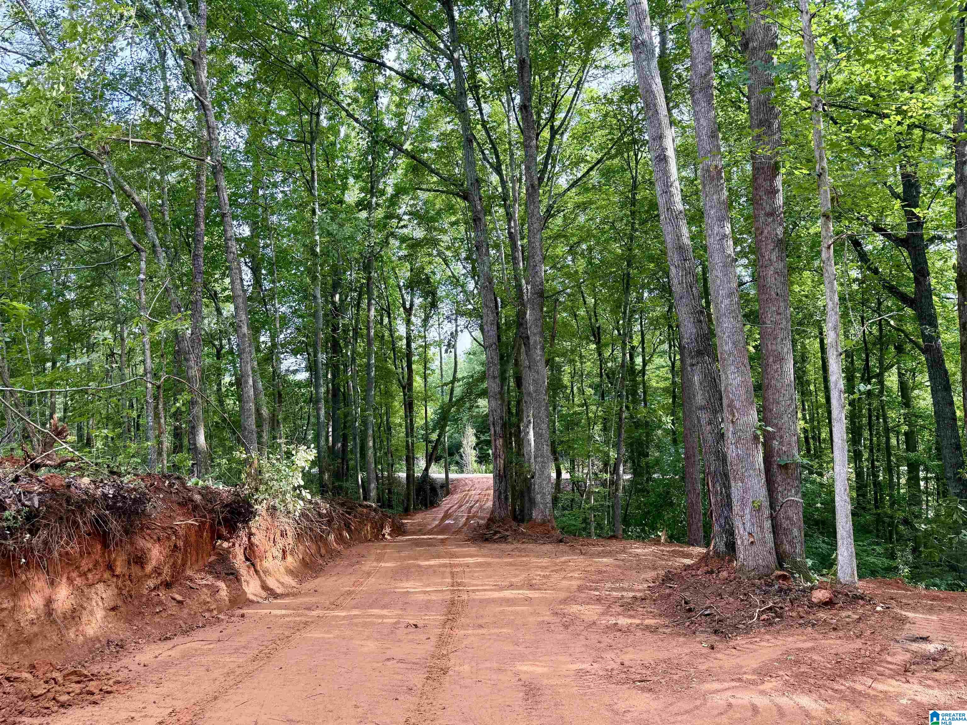 0 Settlement Road Sylacauga, AL 35150 - Photo 16 of 16