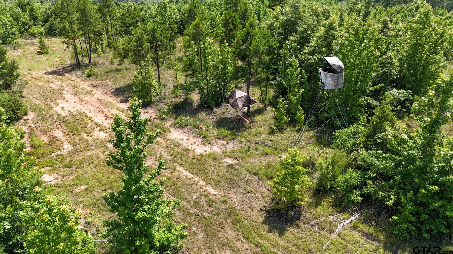 0 Avinger Cut Off Road Avinger, TX 75630 - Photo 21 of 48