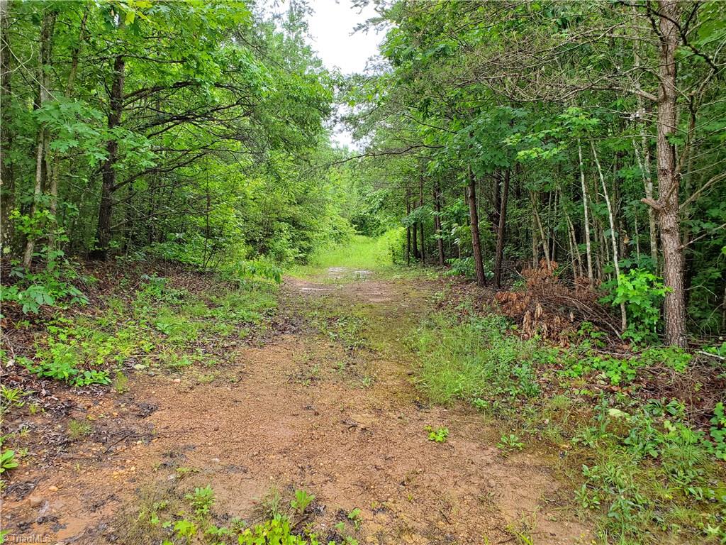 0 Kayla Ridge Road Walnut Cove, NC 27052 - Photo 2 of 7 Gallery Image 2