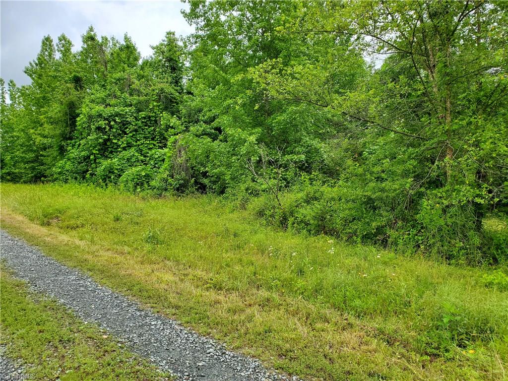 0 Kayla Ridge Road Walnut Cove, NC 27052 - Photo 3 of 7 Gallery Image 3