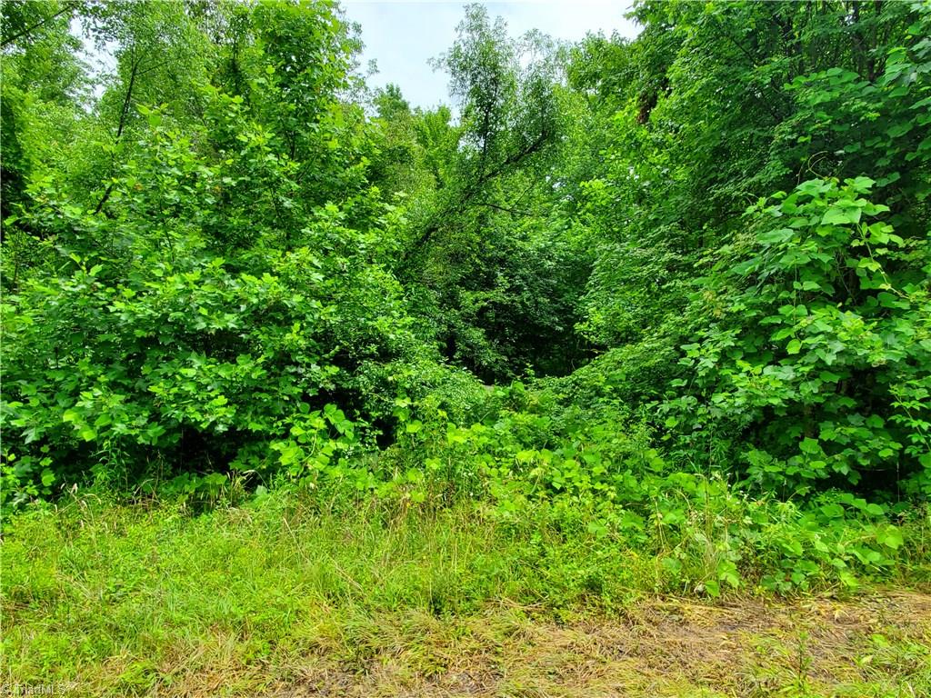 0 Kayla Ridge Road Walnut Cove, NC 27052 - Photo 4 of 7 Gallery Image 4