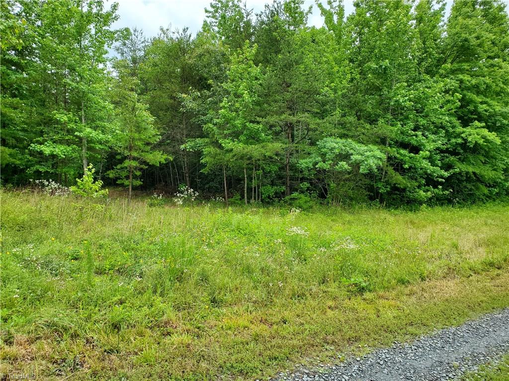 0 Kayla Ridge Road Walnut Cove, NC 27052 - Photo 5 of 7 Gallery Image 5