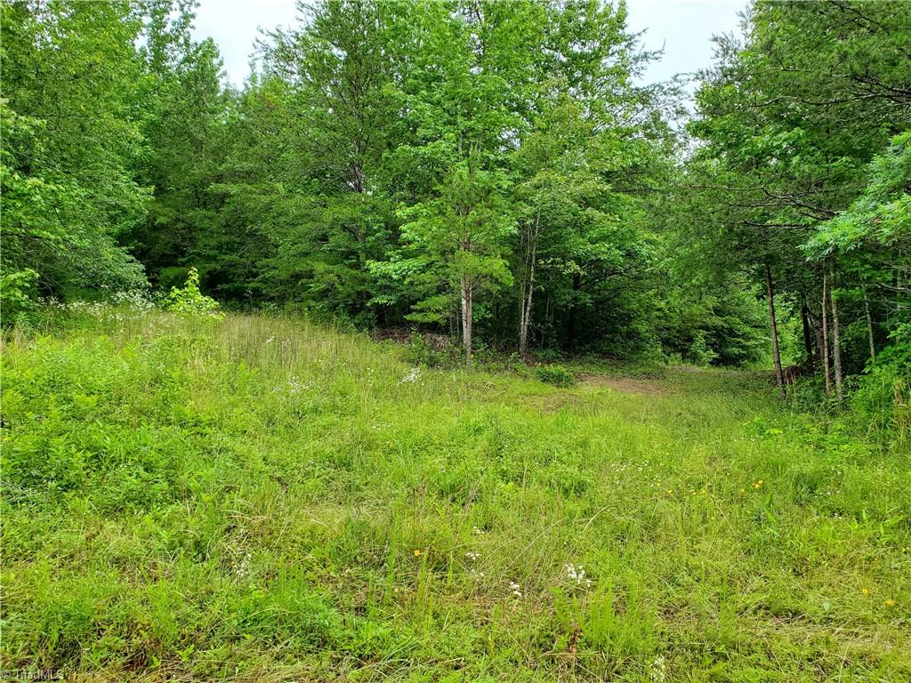 0 Kayla Ridge Road Walnut Cove, NC 27052 - Photo 6 of 7 Gallery Image 6
