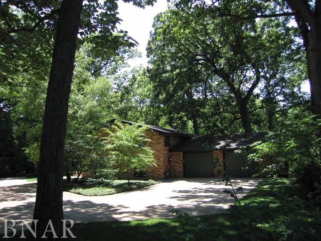 5801 Viking Road Clinton, IL 61727 - Photo 4 of 27 a street view from yard