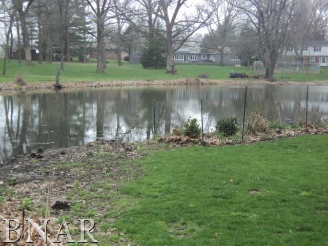 5801 Viking Road Clinton, IL 61727 - Photo 8 of 27 a view of a lake with a yard and large trees