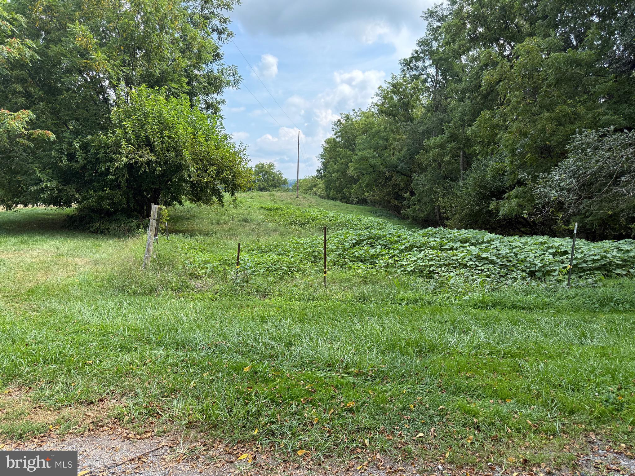 1309 Trevanion Road Union Bridge, MD 21791 - Photo 46 of 70