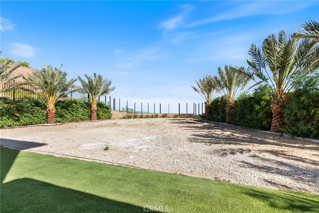 20448 Liverpool Way Porter Ranch, CA 91326 - Photo 49 of 60 a view of a yard with palm trees