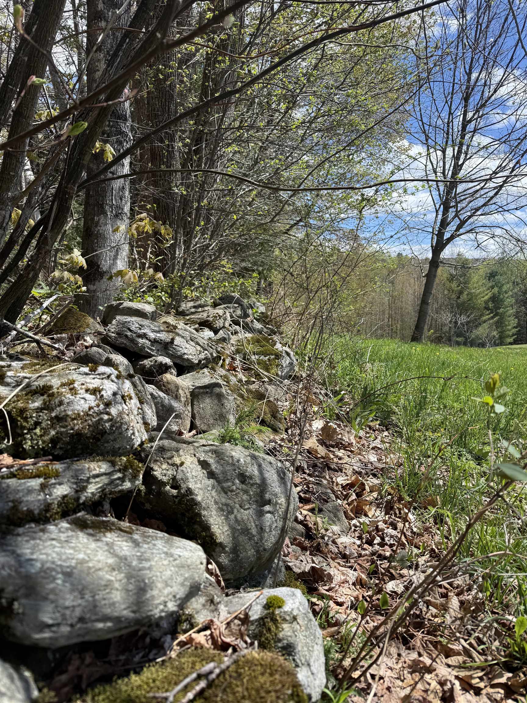 2527 Bent Hill Road Braintree, VT 05060 - Photo 9 of 13 Gallery Image 9