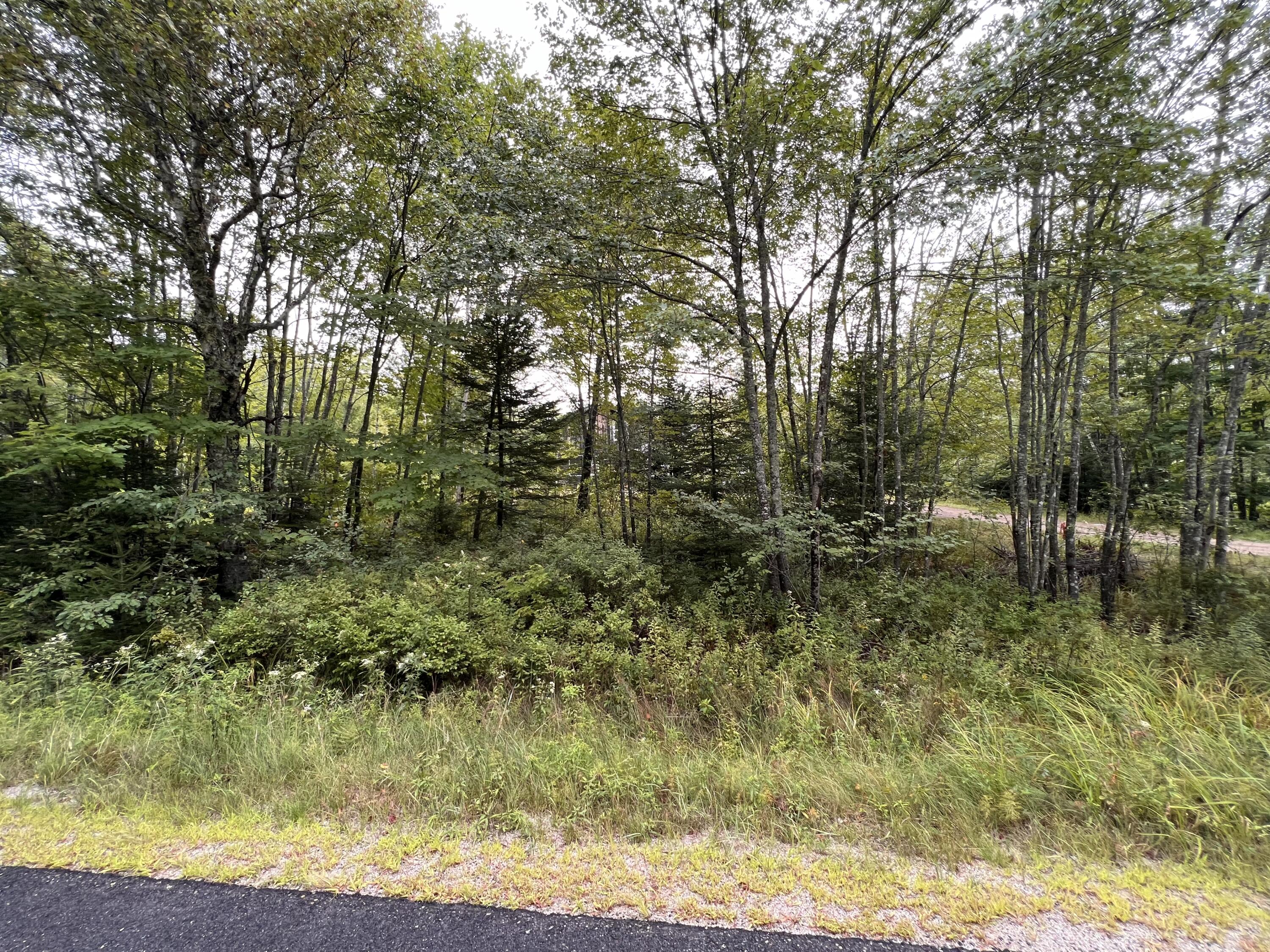 76 Mogador Road Steuben, ME 04680 - Photo 9 of 14 DE3B17FF-DC77-4ECD-8FAD-FB60224D343A