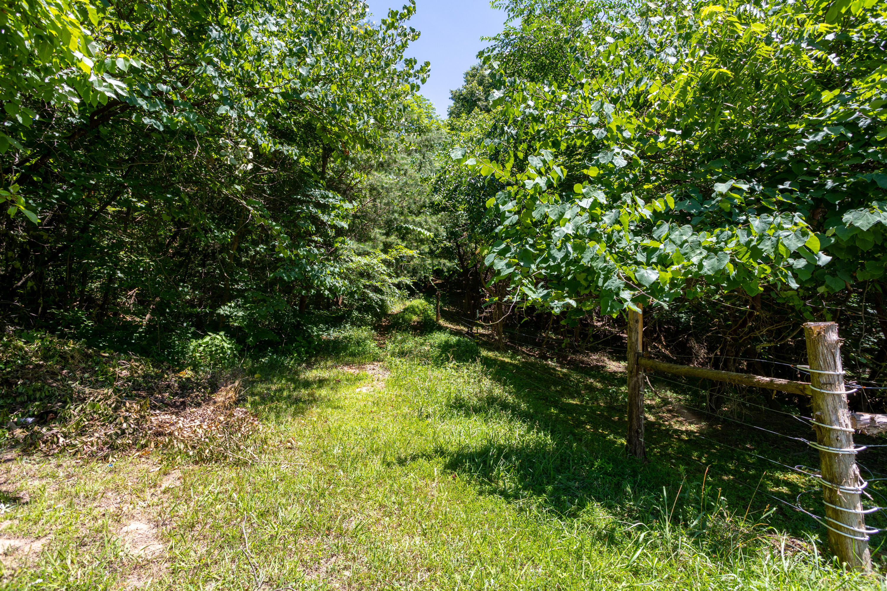 915 Buckboard Road Greeneville, TN 37743 - Photo 48 of 64 915 Buckboard Road