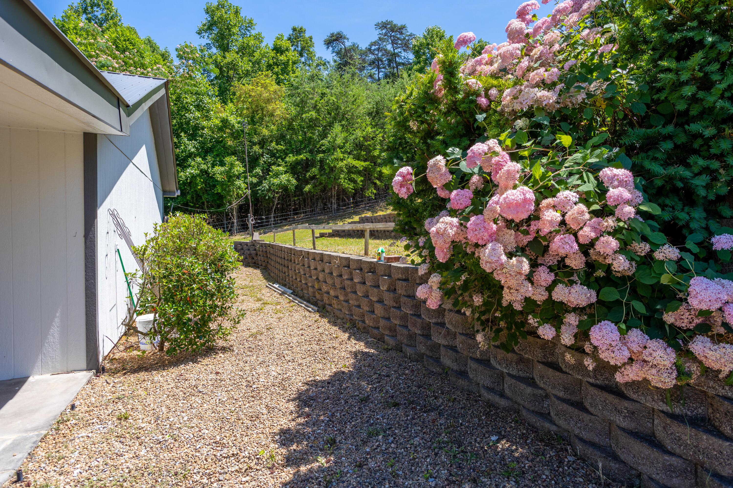 915 Buckboard Road Greeneville, TN 37743 - Photo 7 of 64 Mature Landscaping