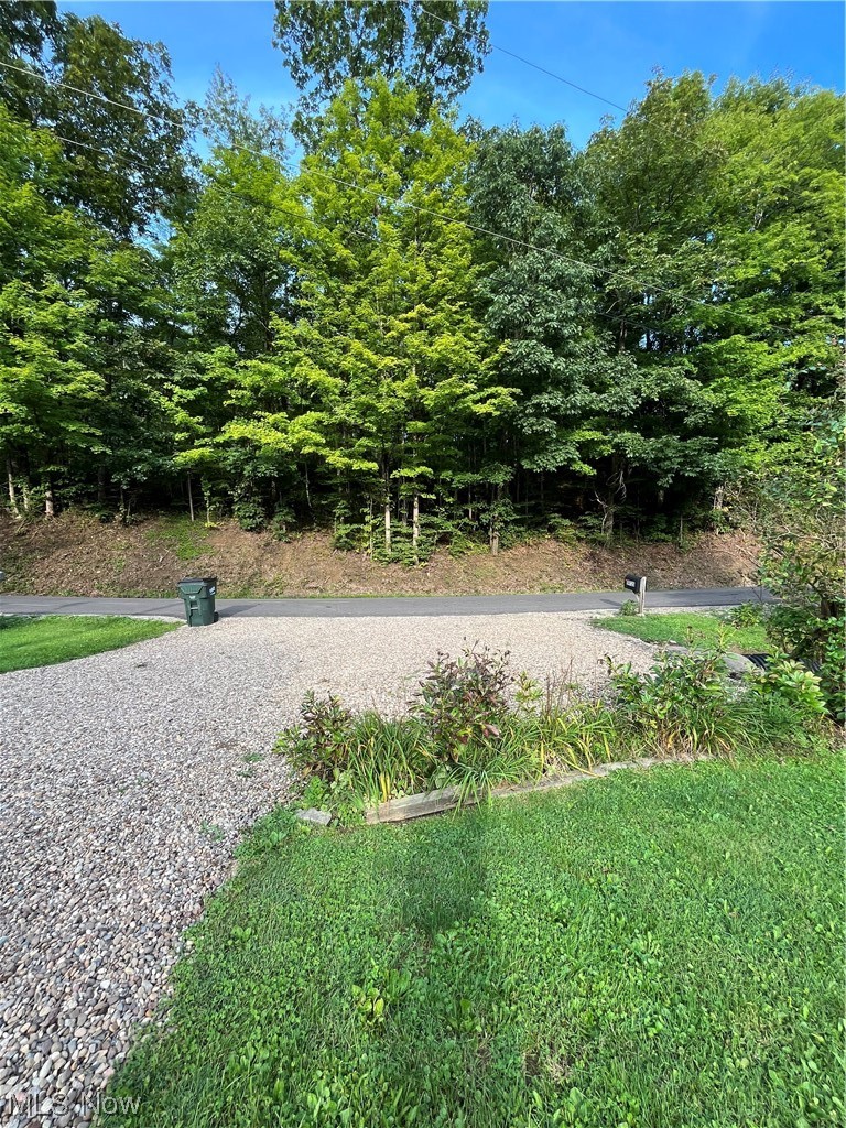 64725 Sundew Road Cambridge, OH 43725 - Photo 15 of 27 View of yard