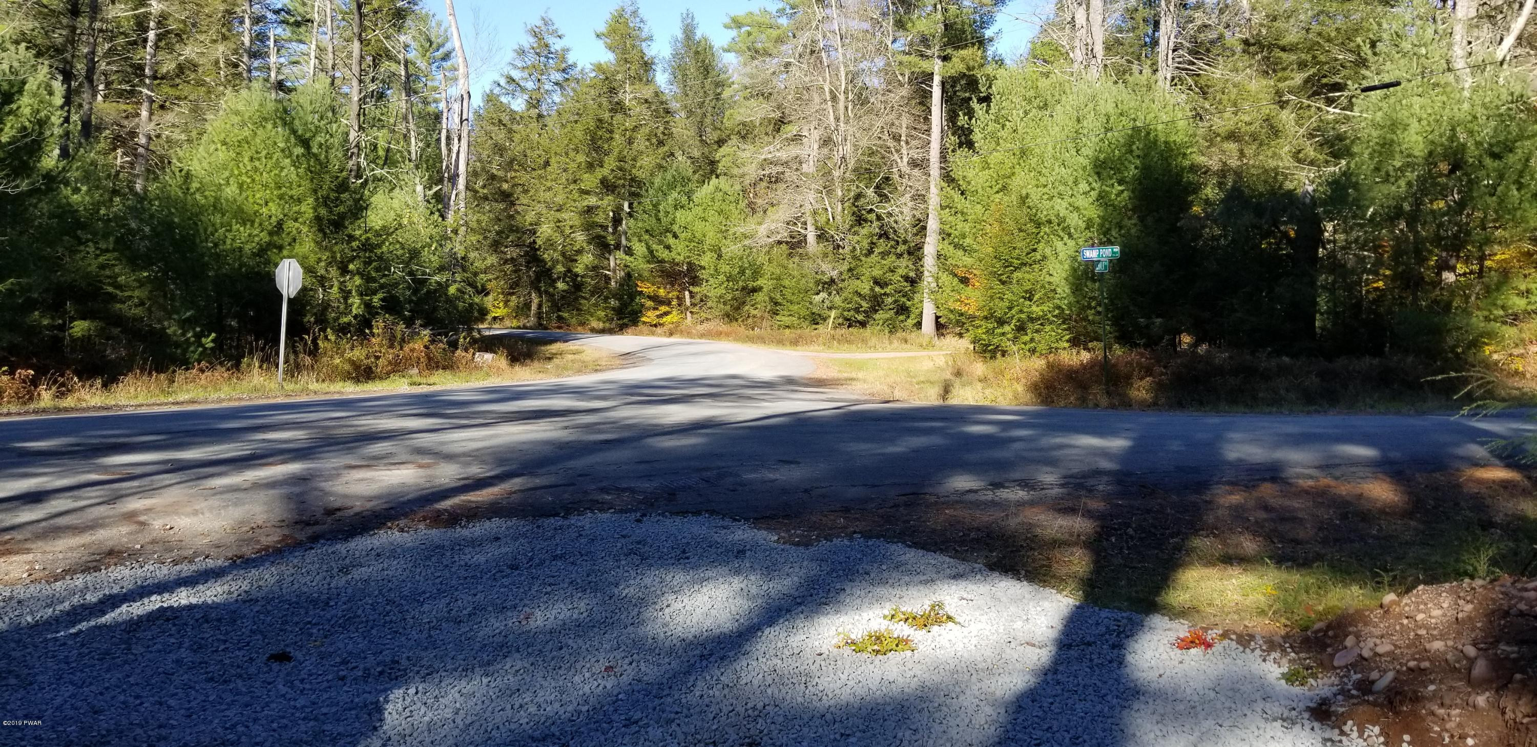 Lot #22 Swamp Pond Road Narrowsburg, NY 12764 - Photo 3 of 36