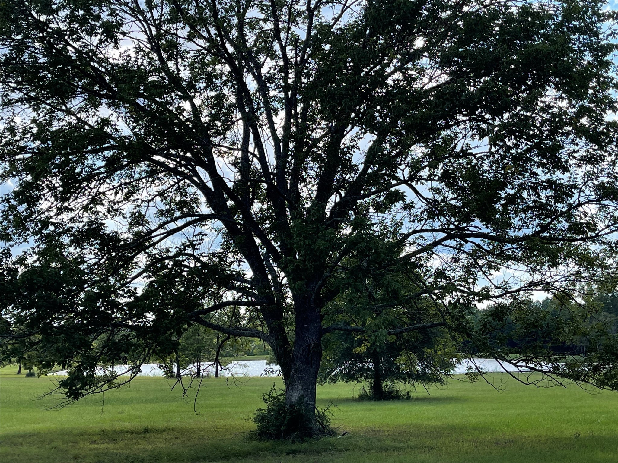 16145 Ridge Oak Road Willis, TX 77378 - Photo 12 of 16 a view of outdoor space with green field and trees