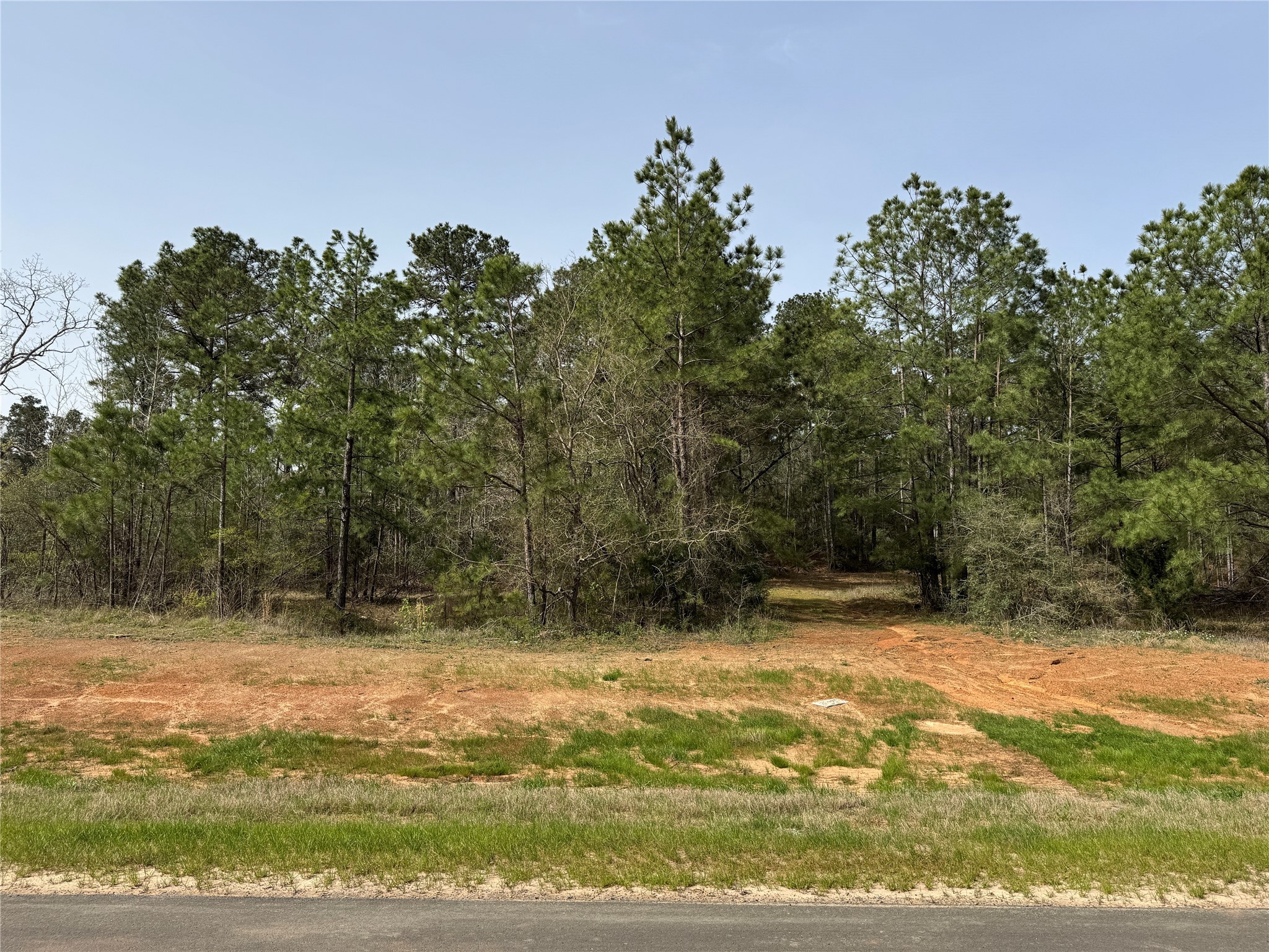 16145 Ridge Oak Road Willis, TX 77378 - Photo 6 of 16 a view of swimming pool with an outdoor space and seating area