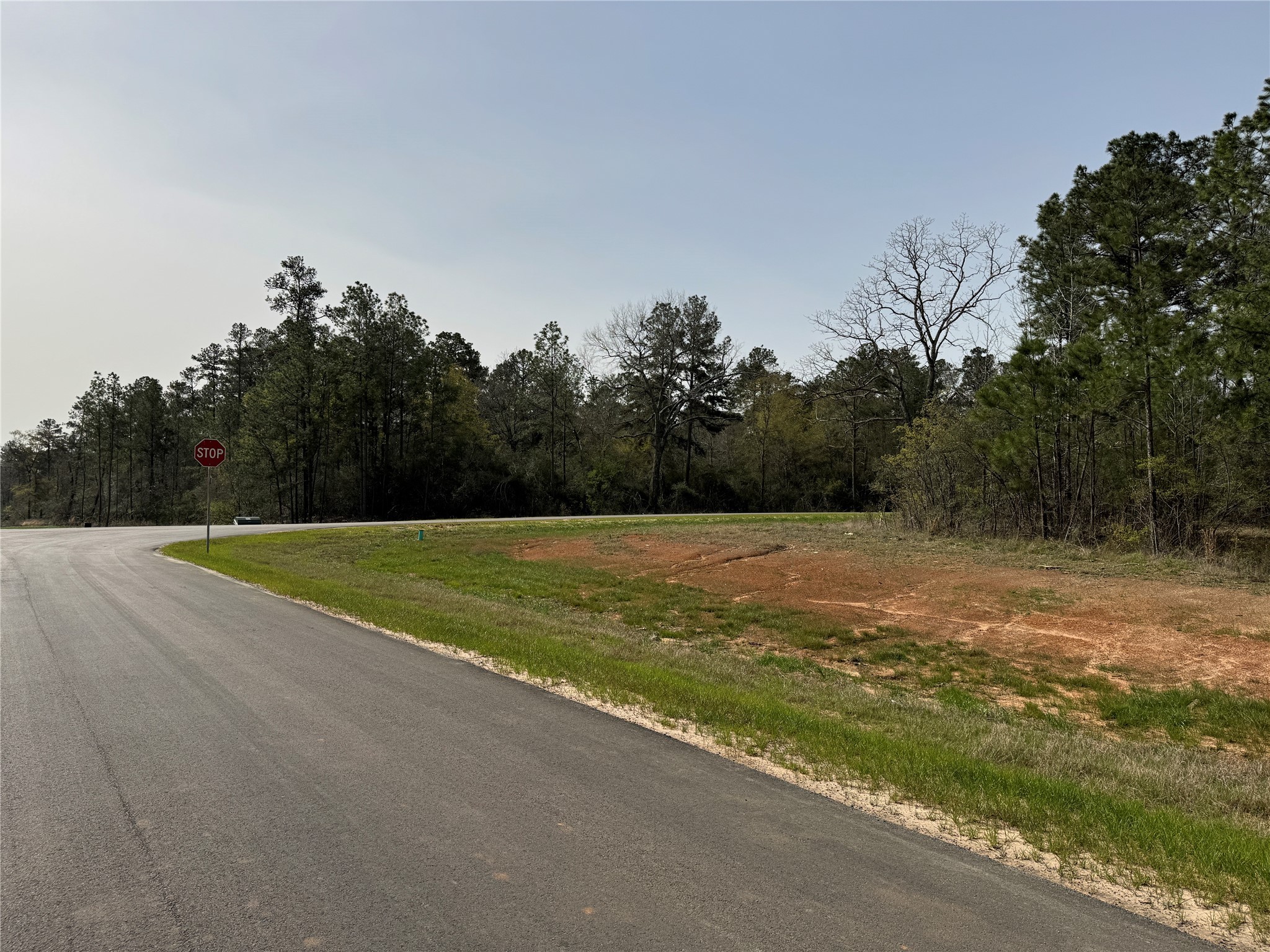 16145 Ridge Oak Road Willis, TX 77378 - Photo 7 of 16 a view of a outdoor space
