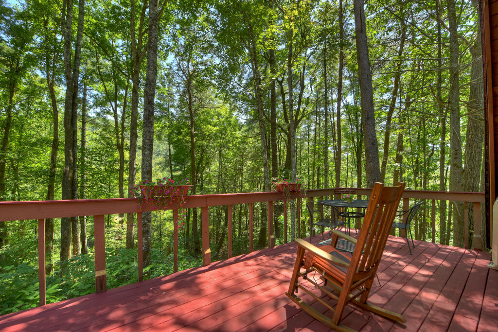 11296 Old CCC Camp Road Ellijay, GA 30540 - Photo 8 of 34 Gallery Image 8