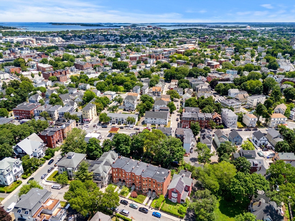 16 Perrin Street Boston, MA 02119 - Photo 32 of 37