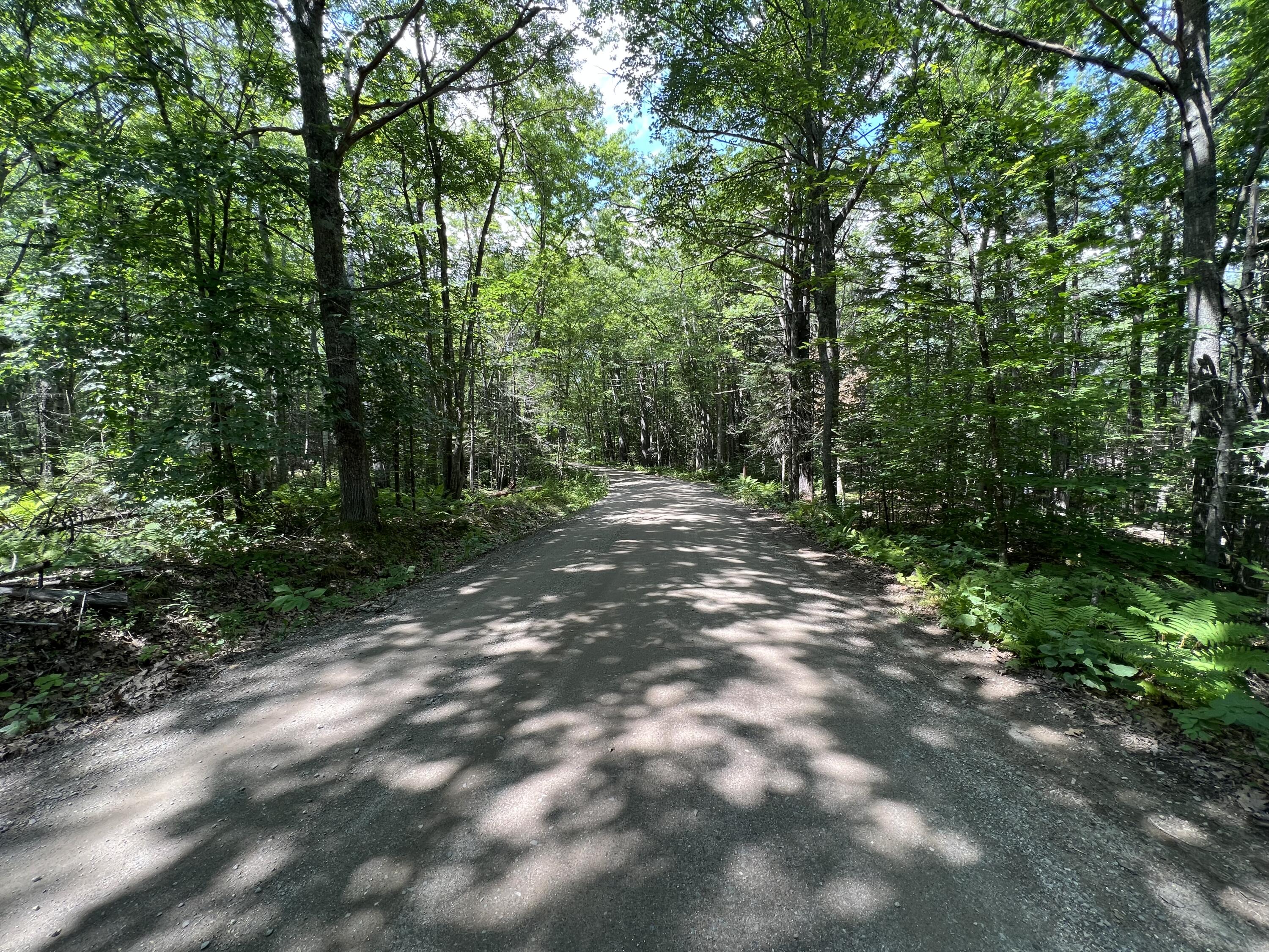 0 Violette Way Orland, ME 04472 - Photo 1 of 16 IMG_3898