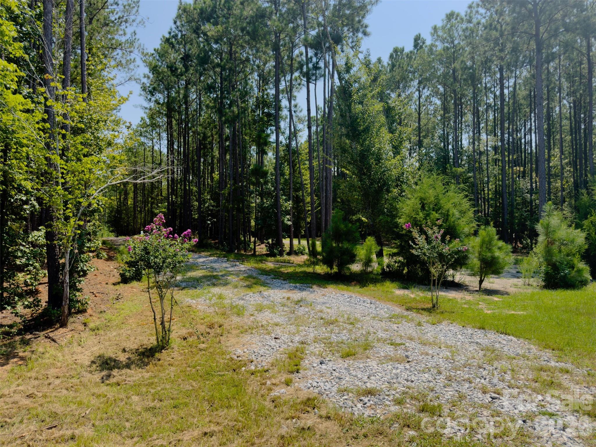 955 Cole Trestle Road Blair, SC 29015 - Photo 3 of 30 Gallery Image 3