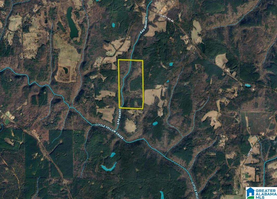 Bonner Drive, Unit 1 Berry, AL 35546 - Photo 56 of 56
