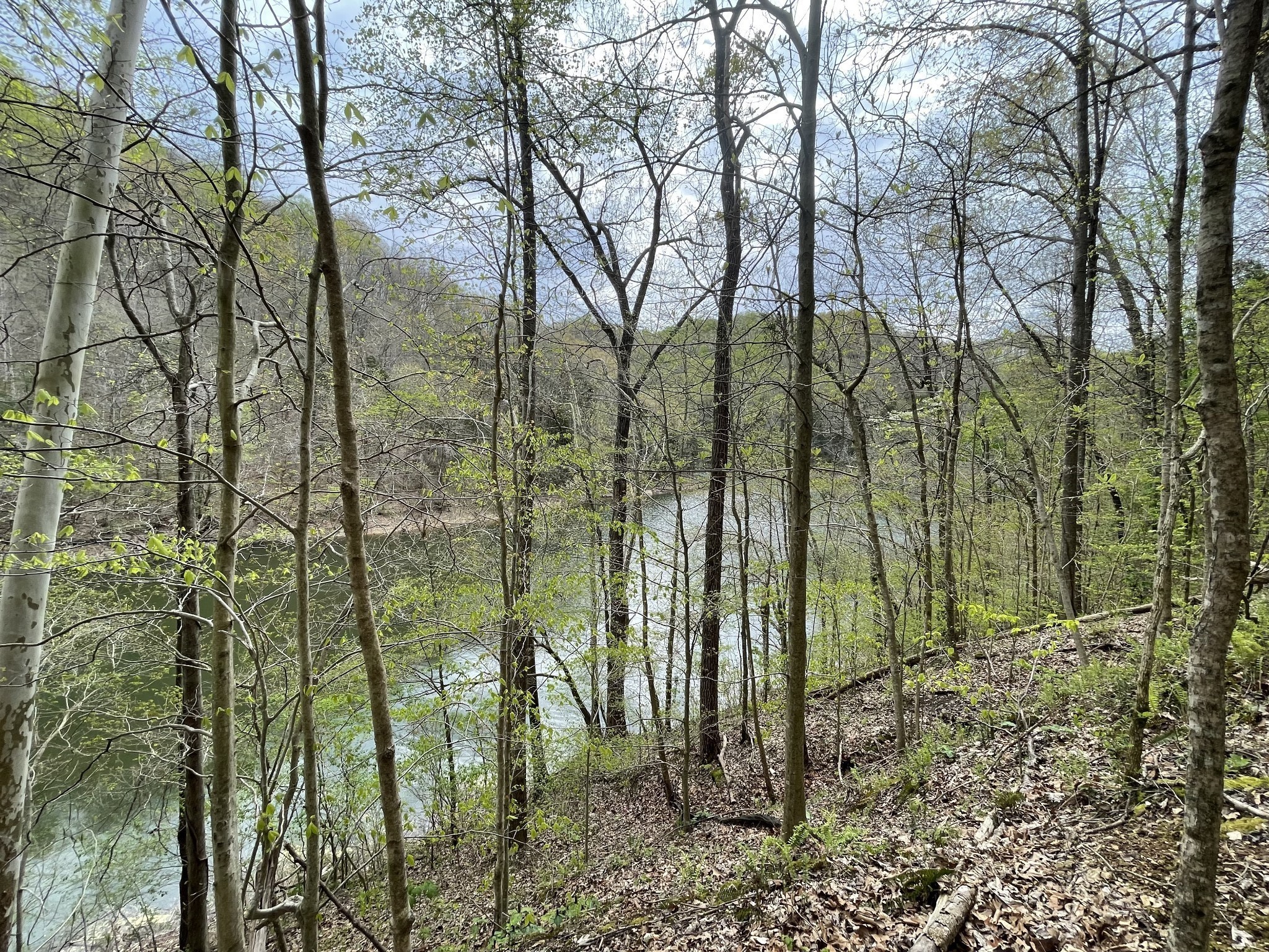 1 Ford Road Baxter, TN 38544 - Photo 1 of 9 Gallery Image 1
