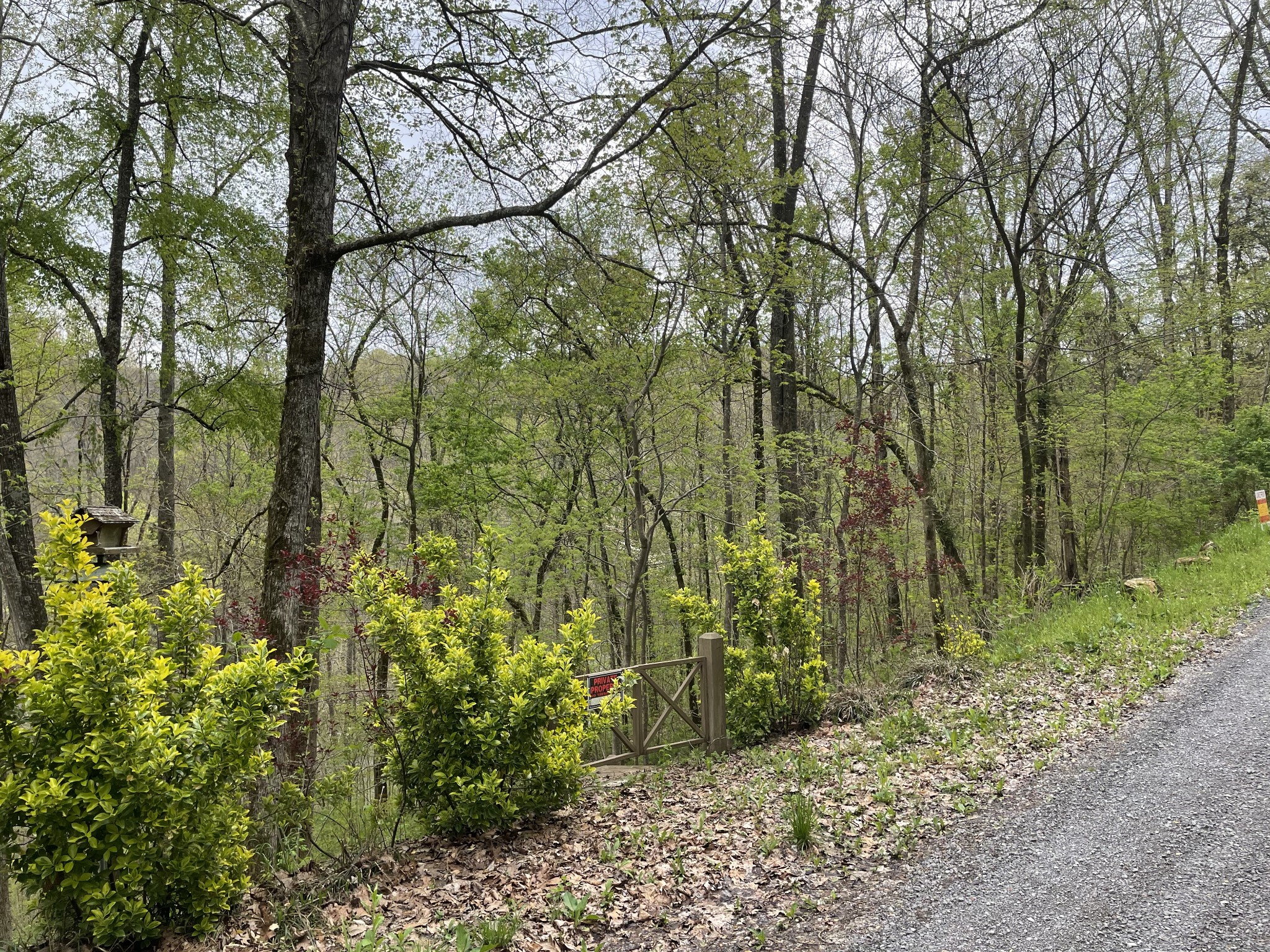 1 Ford Road Baxter, TN 38544 - Photo 3 of 9 Gallery Image 3