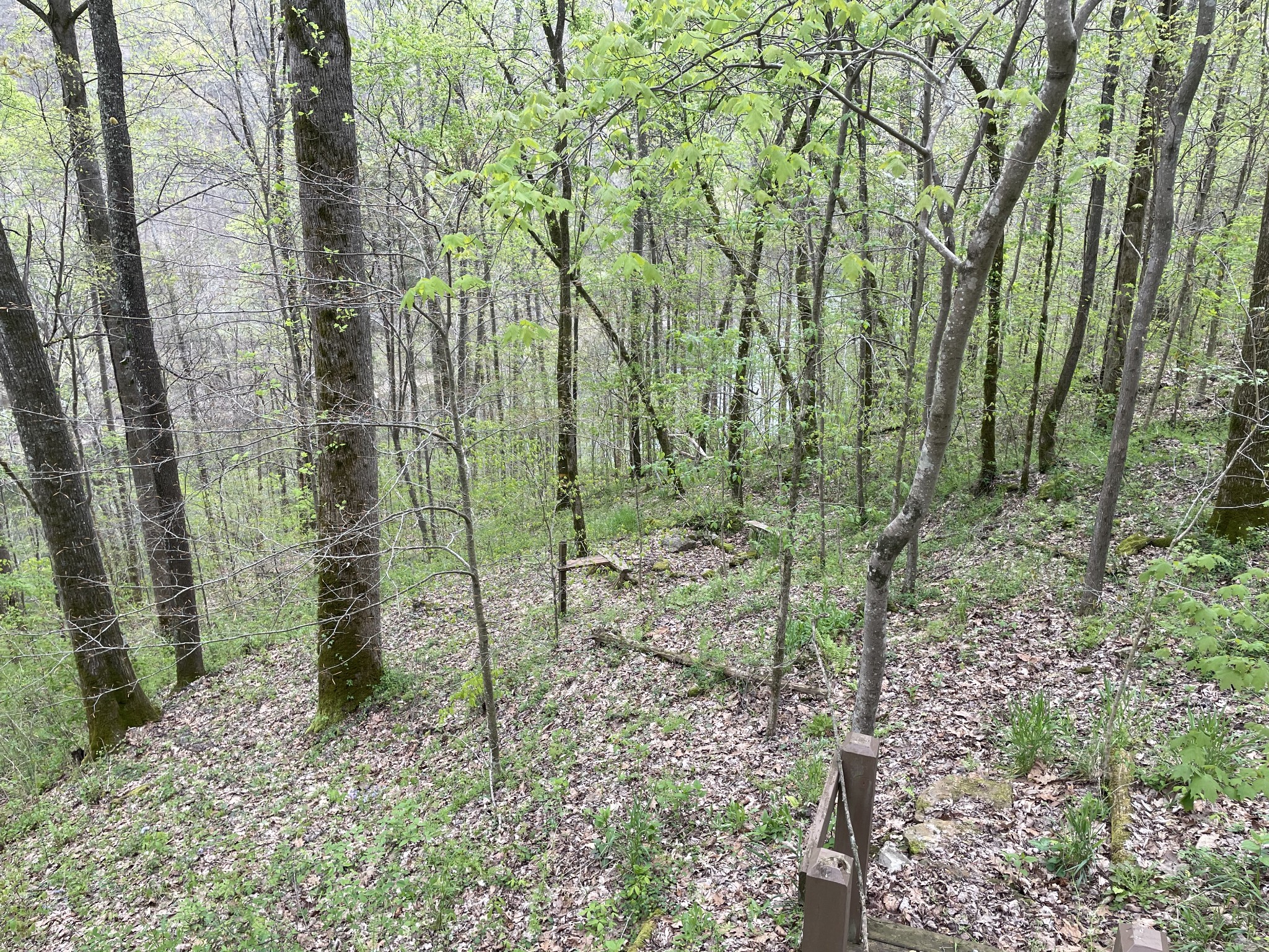 1 Ford Road Baxter, TN 38544 - Photo 5 of 9 Gallery Image 5