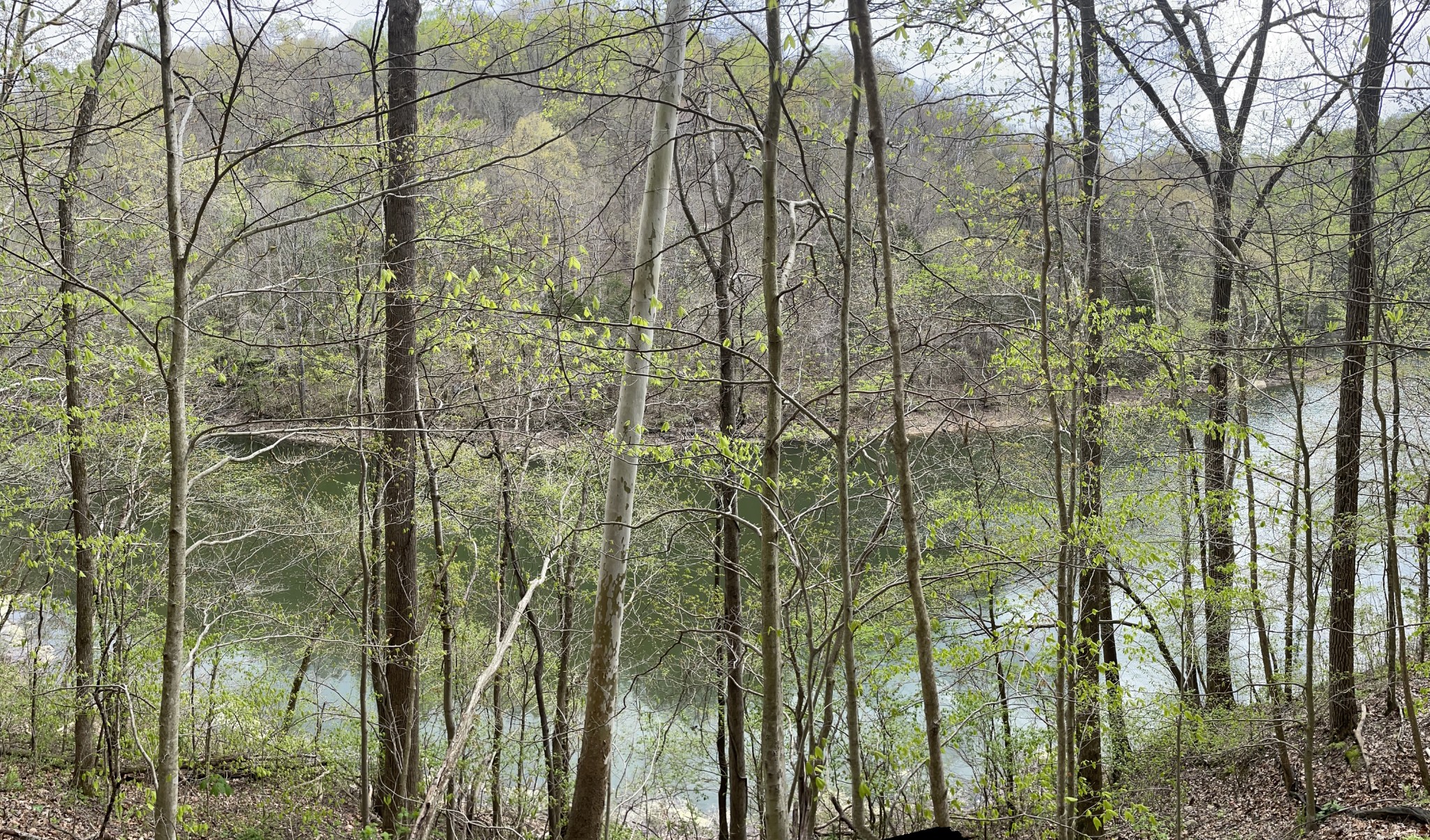 1 Ford Road Baxter, TN 38544 - Photo 8 of 9 Gallery Image 8