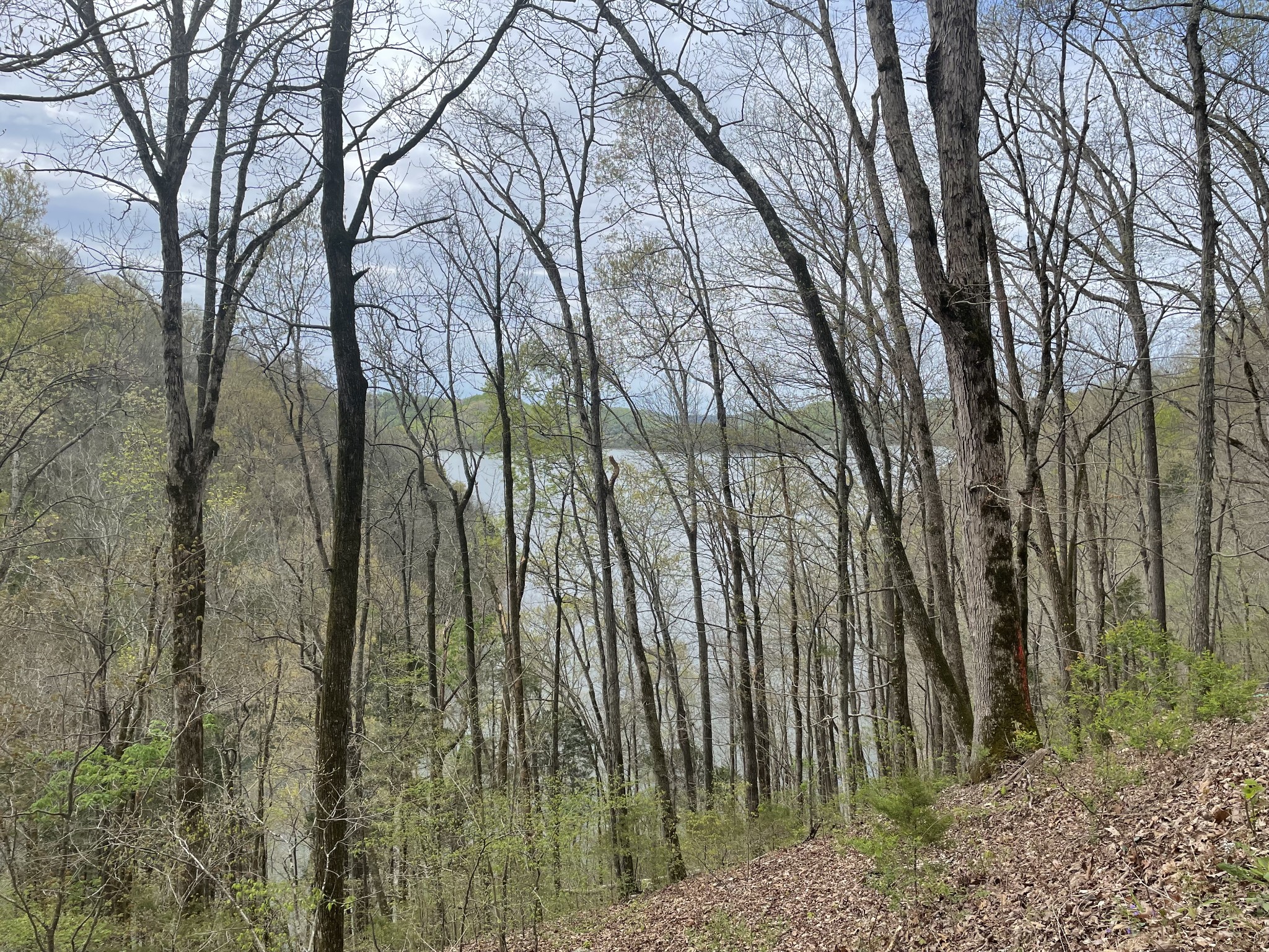 1 Ford Road Baxter, TN 38544 - Photo 9 of 9 Gallery Image 9