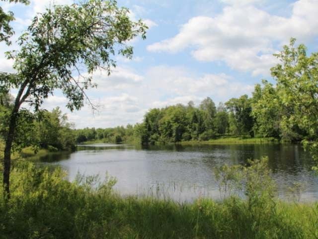 80239 Pine Curve Road Glidden, WI 54527 - Photo 4 of 20 Gallery Image 4
