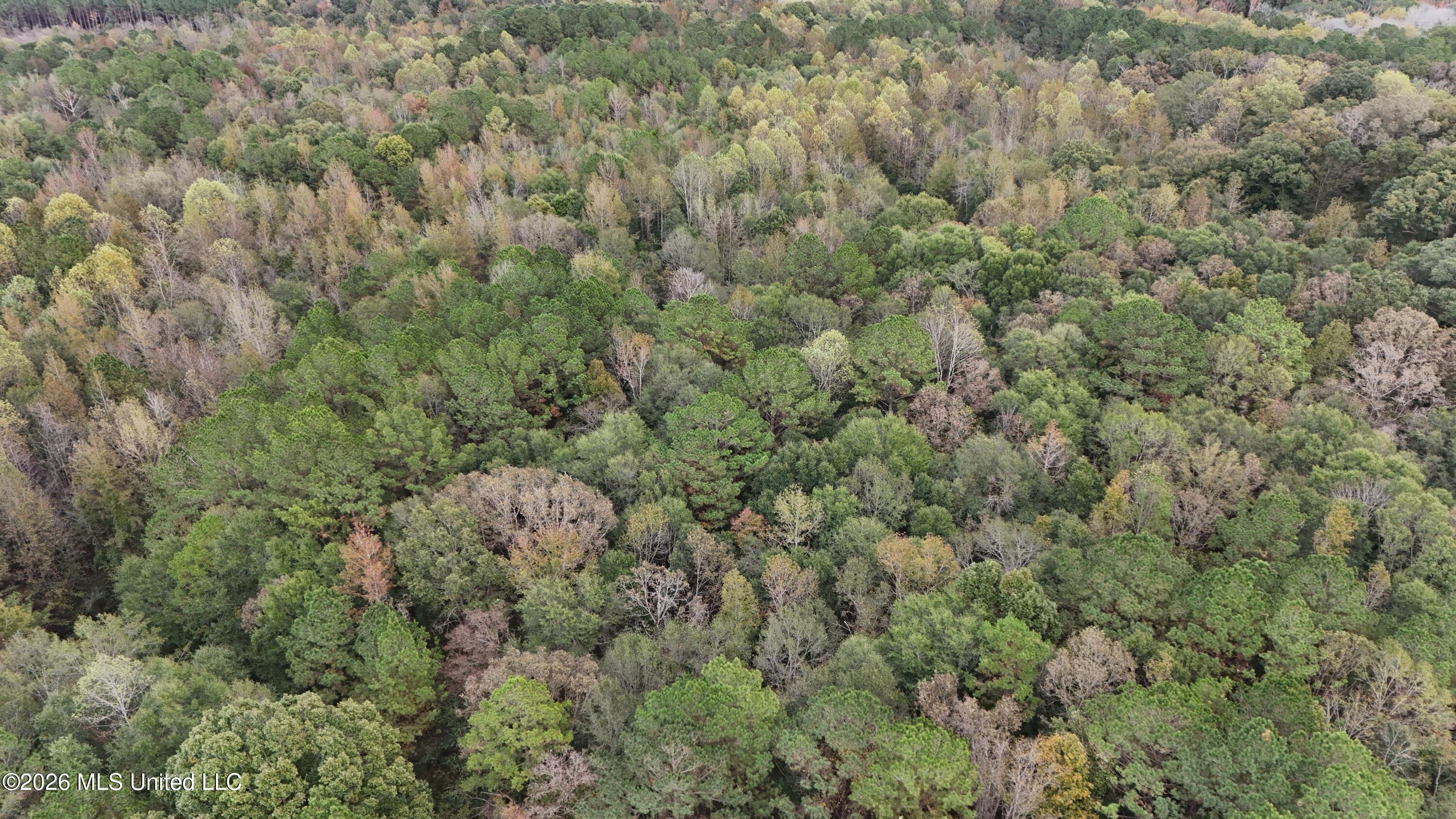 Remus Road Carthage, MS 39051 - Photo 1 of 2 DJI_20251101162018_0027_D