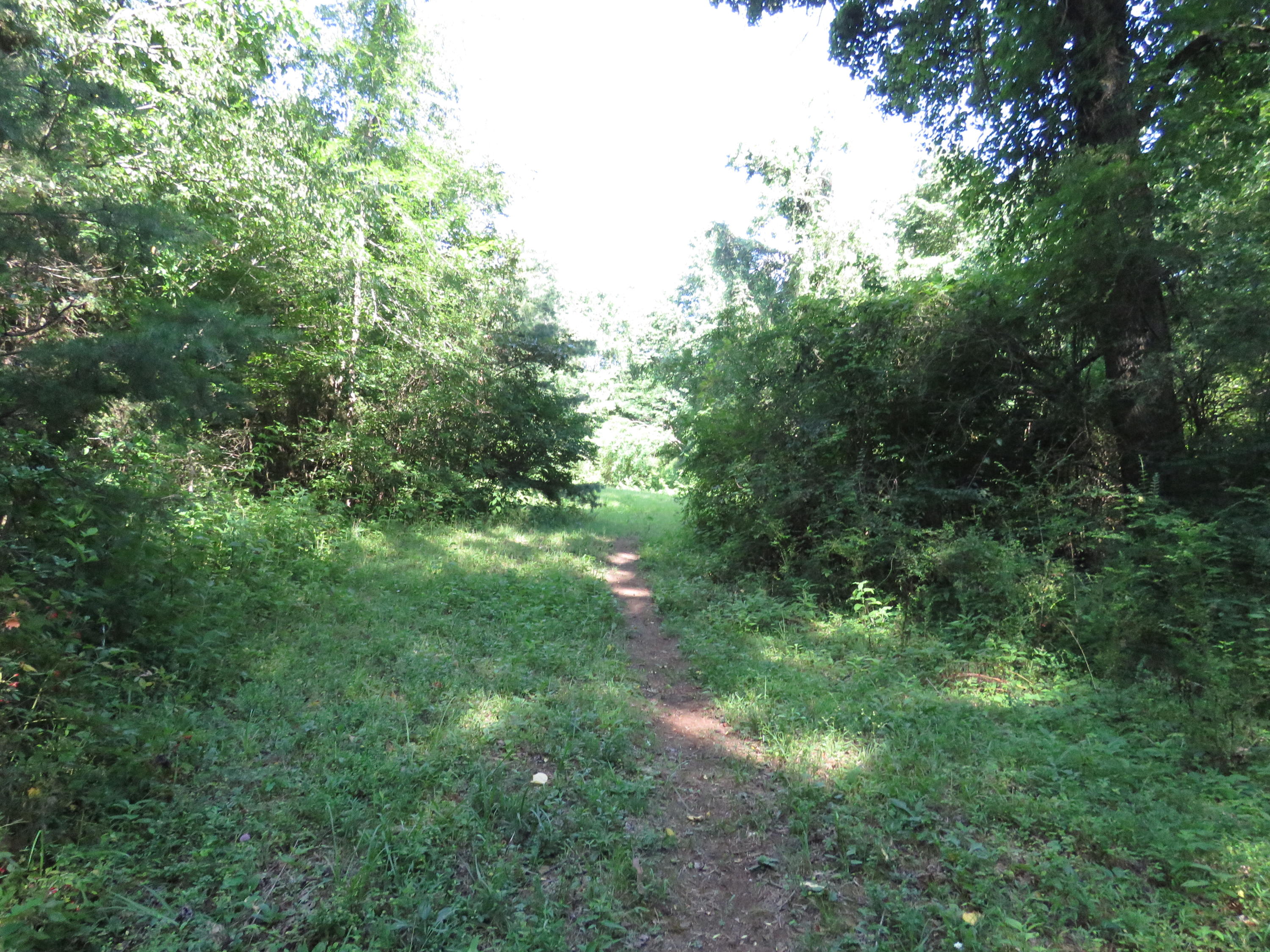149 David Road Clinton, TN 37716 - Photo 3 of 5 IMG_3339