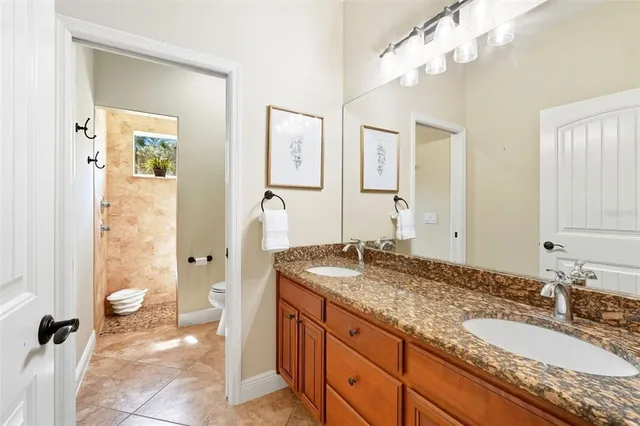 a bathroom with a toilet a sink and mirror