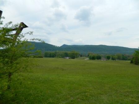 412 Emory Road Blaine, TN 37709 - Photo 2 of 12 DSCN8628